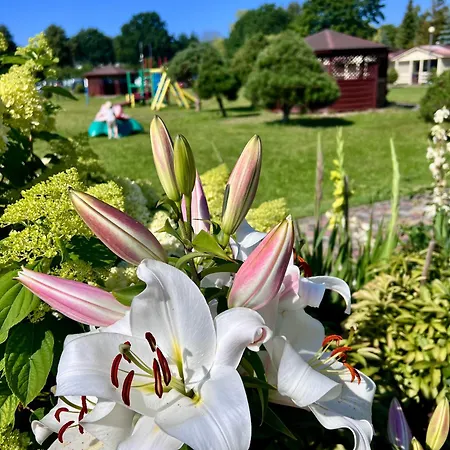 Lazur Wypoczynkowe Lodge Dzwirzyno